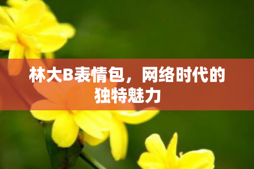 网络时代的独特魅力图片