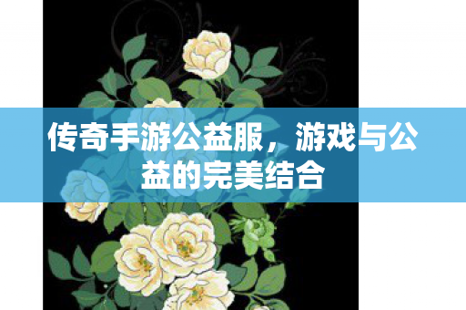 游戏与公益的完美结合图片