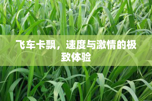 速度与激情的极致体验图片