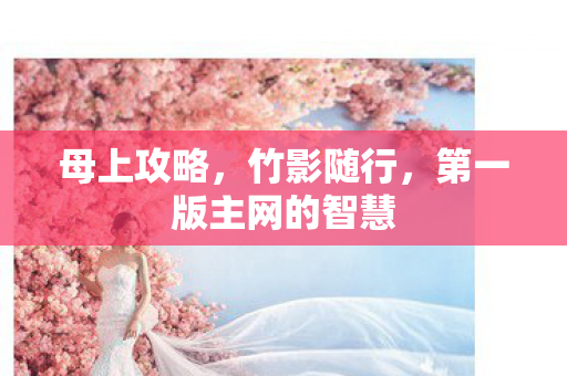 第一版主网的智慧图片