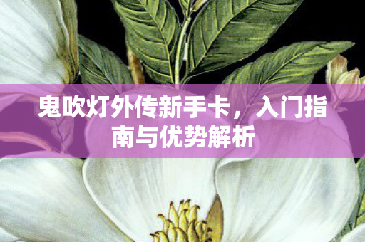入门指南与优势解析图片