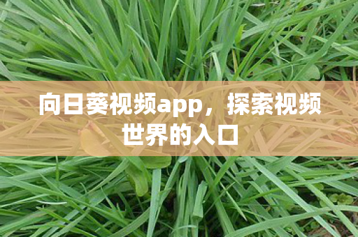 探索视频世界的入口图片