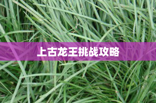 上古龙王挑战攻略图片