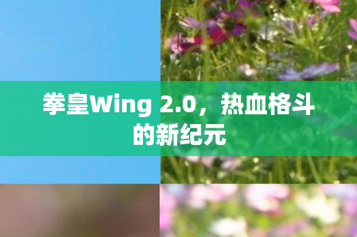 拳皇Wing 2图片