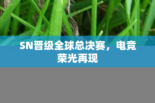 SN晋级全球总决赛图片