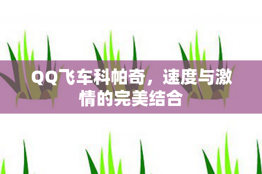 速度与激情的完美结合图片