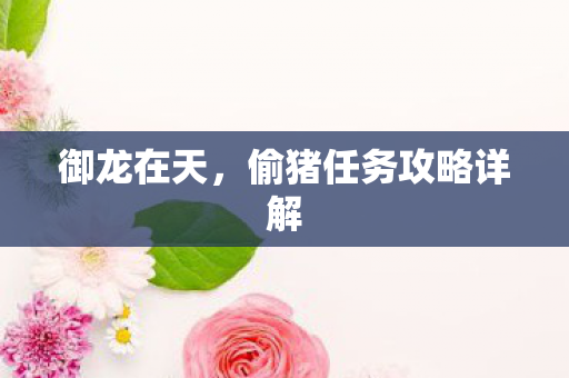 偷猪任务攻略详解图片