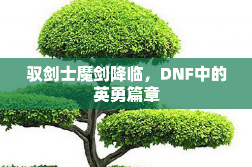DNF中的英勇篇章图片