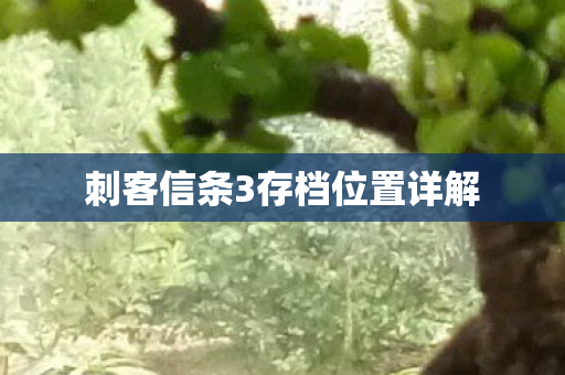 刺客信条3存档位置详解图片