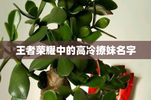 王者荣耀中的高冷撩妹名字图片