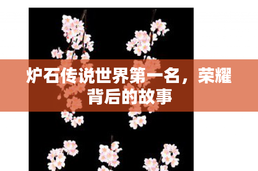 炉石传说世界第一名图片