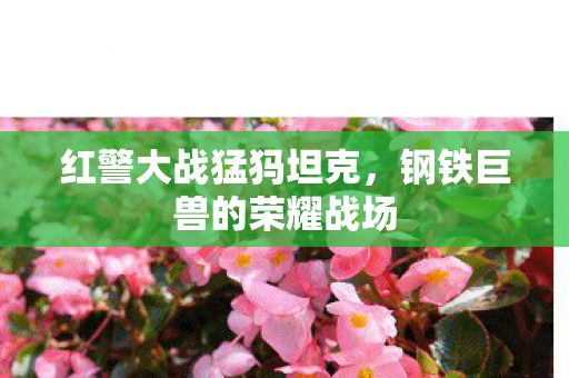 钢铁巨兽的荣耀战场图片