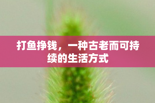 一种古老而可持续的生活方式图片