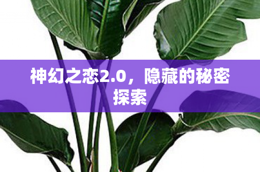 隐藏的秘密探索图片