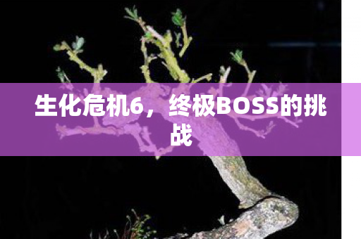 终极BOSS的挑战图片
