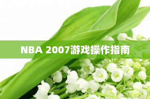 NBA 2007游戏操作指南图片