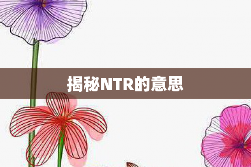 揭秘NTR的意思图片