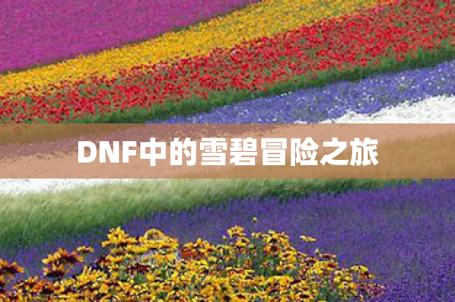 DNF中的雪碧冒险之旅图片