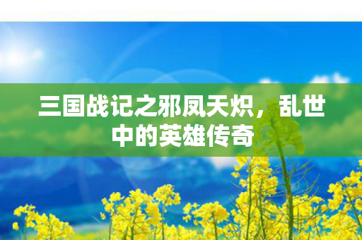 三国战记之邪凤天炽图片