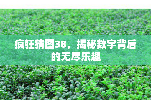 揭秘数字背后的无尽乐趣图片