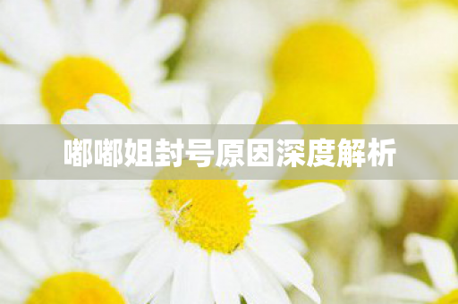 嘟嘟姐封号原因深度解析图片