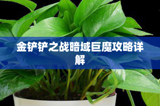 金铲铲之战暗域巨魔攻略详解图片