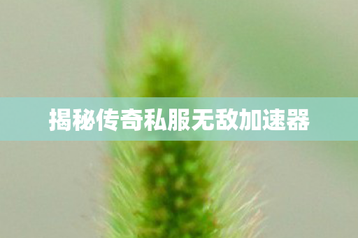 揭秘传奇私服无敌加速器图片