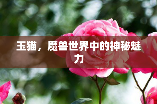 魔兽世界中的神秘魅力图片