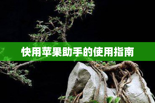 快用苹果助手的使用指南图片