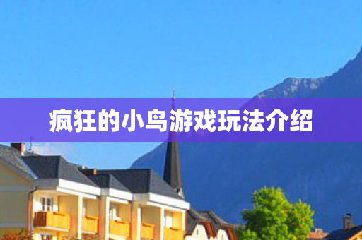 疯狂的小鸟游戏玩法介绍图片