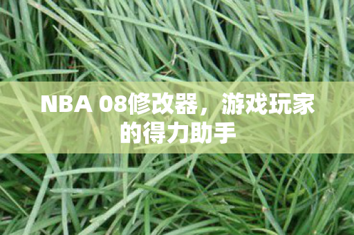 NBA 08修改器图片