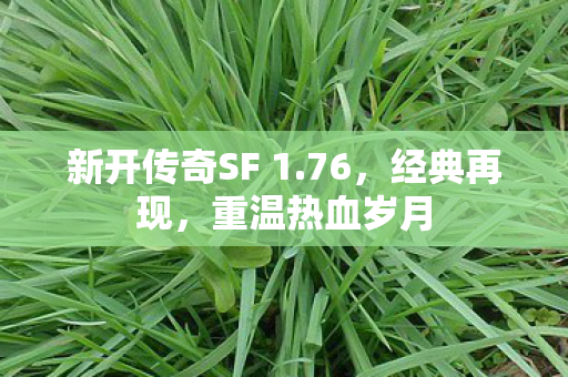 新开传奇SF 1图片