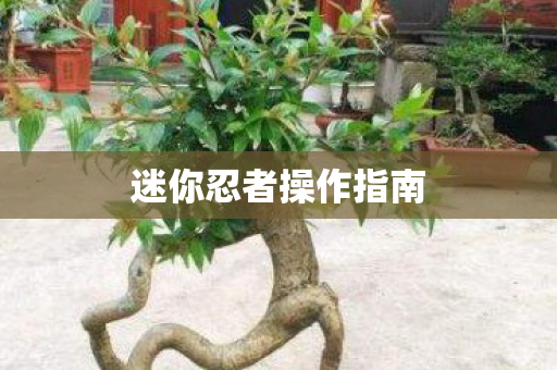 迷你忍者操作指南图片