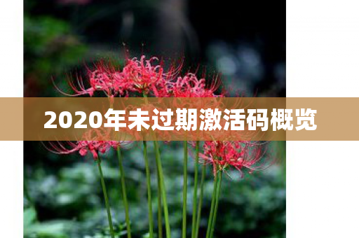 2020年未过期激活码概览图片