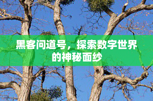 探索数字世界的神秘面纱图片