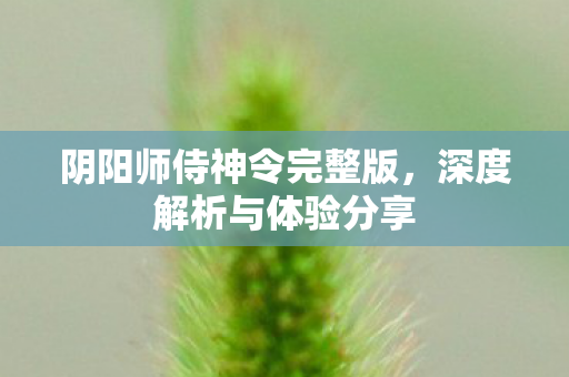 阴阳师侍神令完整版图片