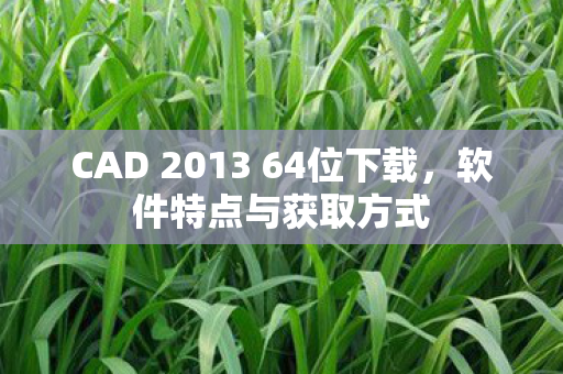 CAD 2013 64位下载图片