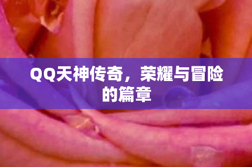 荣耀与冒险的篇章图片
