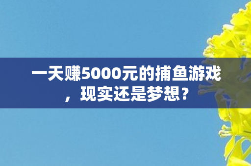 一天赚5000元的捕鱼游戏图片