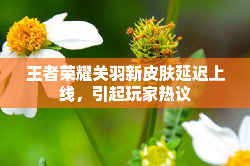 王者荣耀关羽新皮肤延迟上线图片