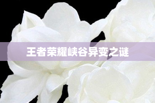 王者荣耀峡谷异变之谜图片