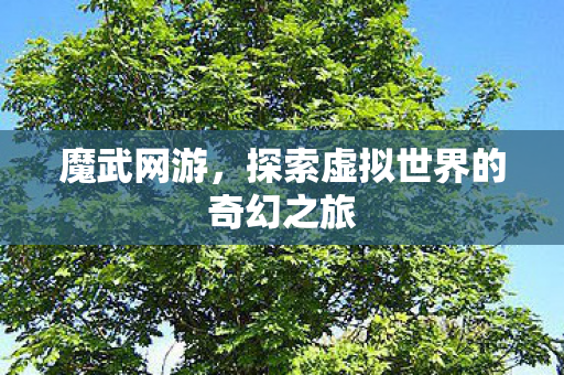 探索虚拟世界的奇幻之旅图片