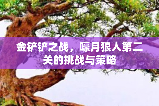 嚎月狼人第二关的挑战与策略图片