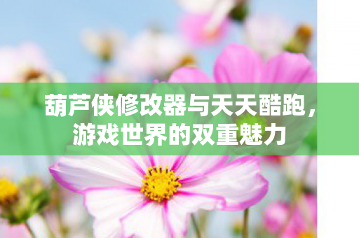葫芦侠修改器与天天酷跑图片