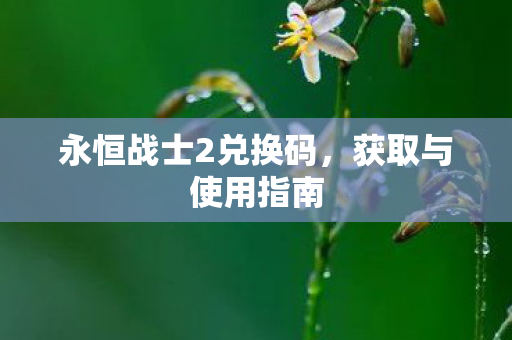 永恒战士2兑换码图片