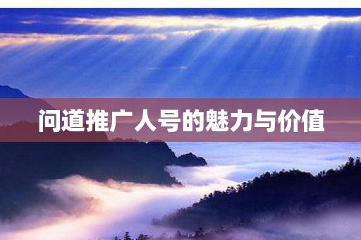 问道推广人号的魅力与价值图片