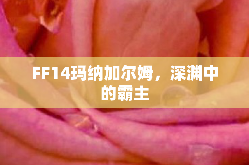 FF14玛纳加尔姆图片