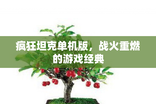 战火重燃的游戏经典图片
