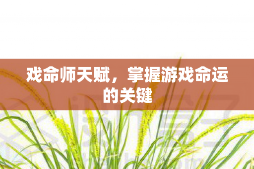 掌握游戏命运的关键图片