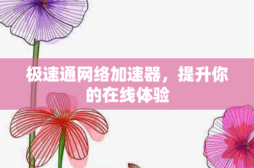 极速通网络加速器图片